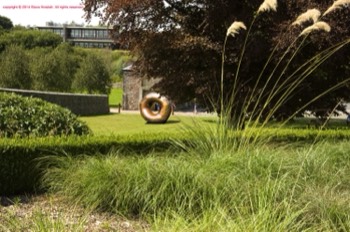 Annular Form #2 sited in the National Botanic Gardens, Wales. Simulation.